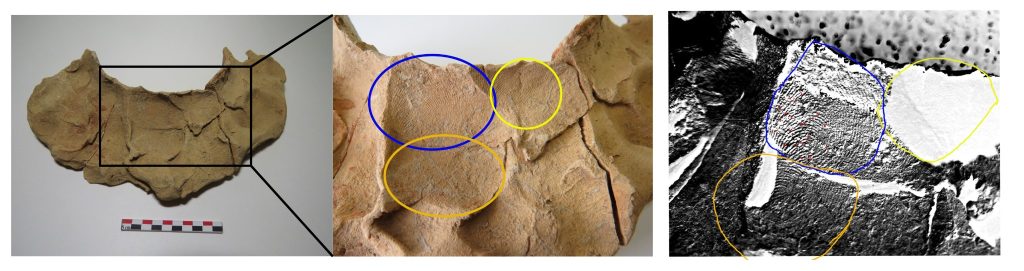 traces-papillaires-sur-joints-de-tubulure